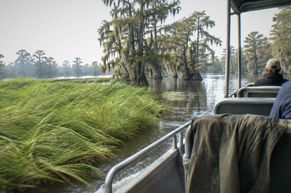 An open tour boat gliding past tall marsh grass toward a flooded cypress forest