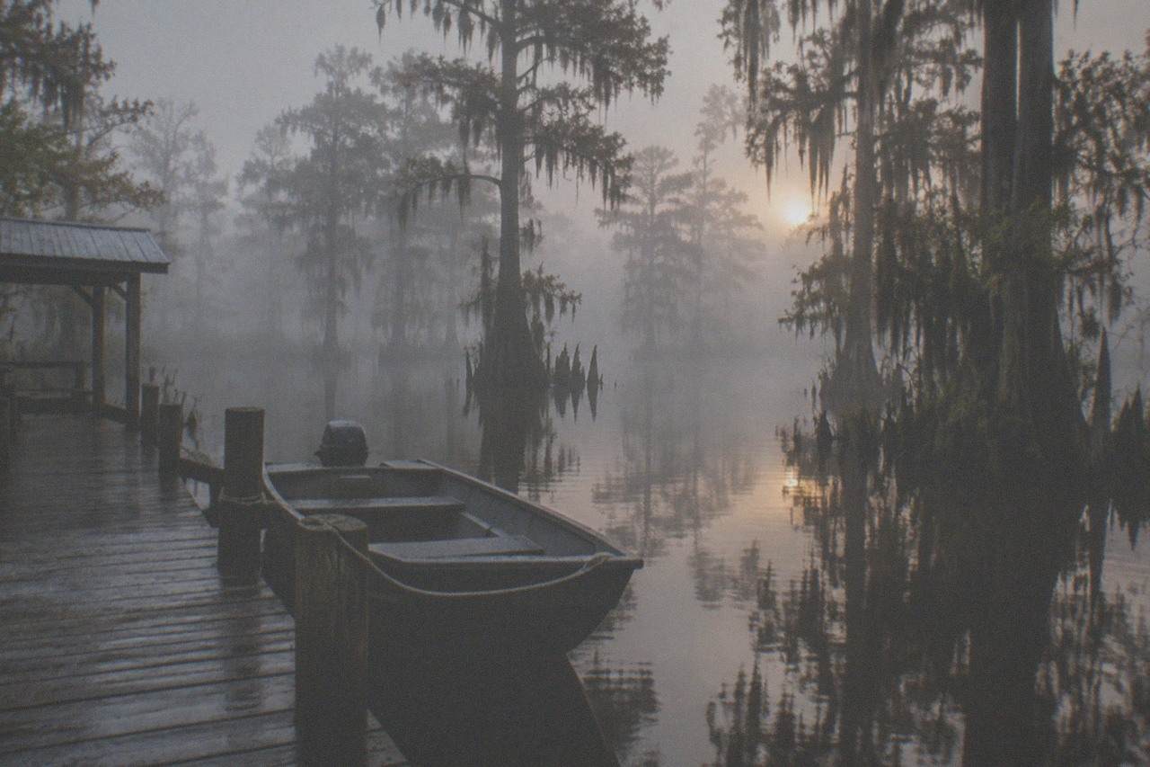 Misty cypress trees reflected in still brown swamp water at dawn