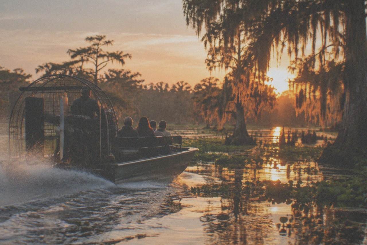 an airboat gliding through a cypress swamp at golden hour
