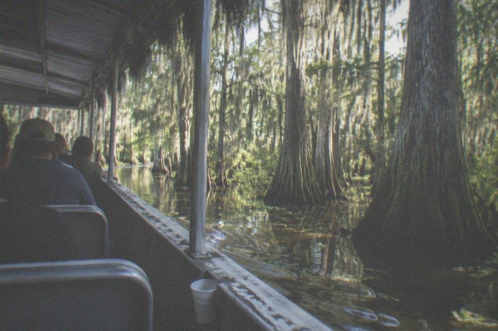 A shaded covered pontoon boat passing between tall cypress trees on a narrow swamp channel