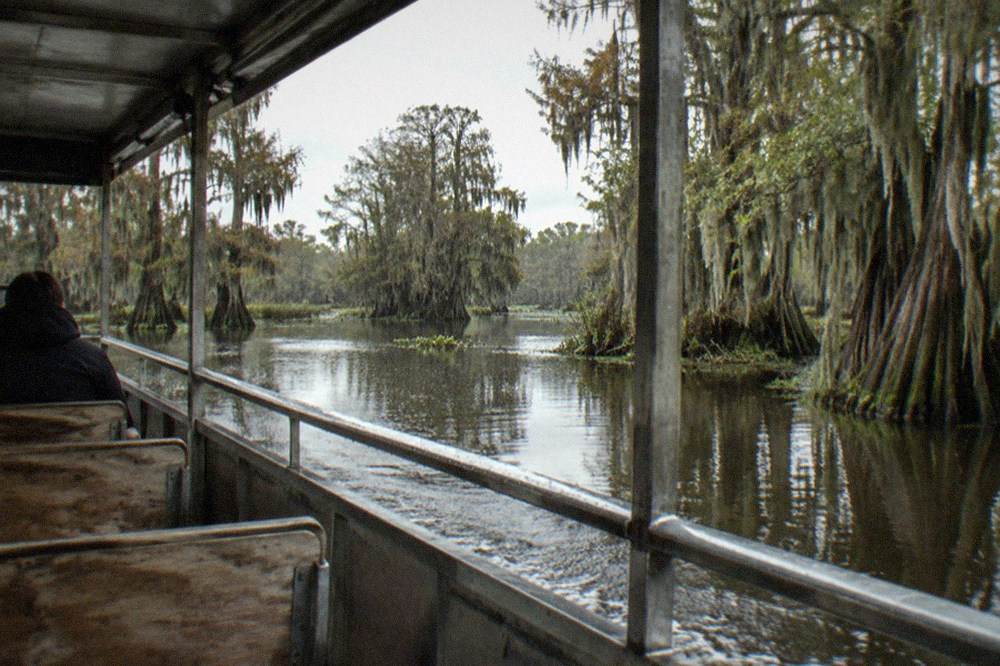 A covered pontoon boat moving slowly past moss-covered cypress trees in a dark bayou