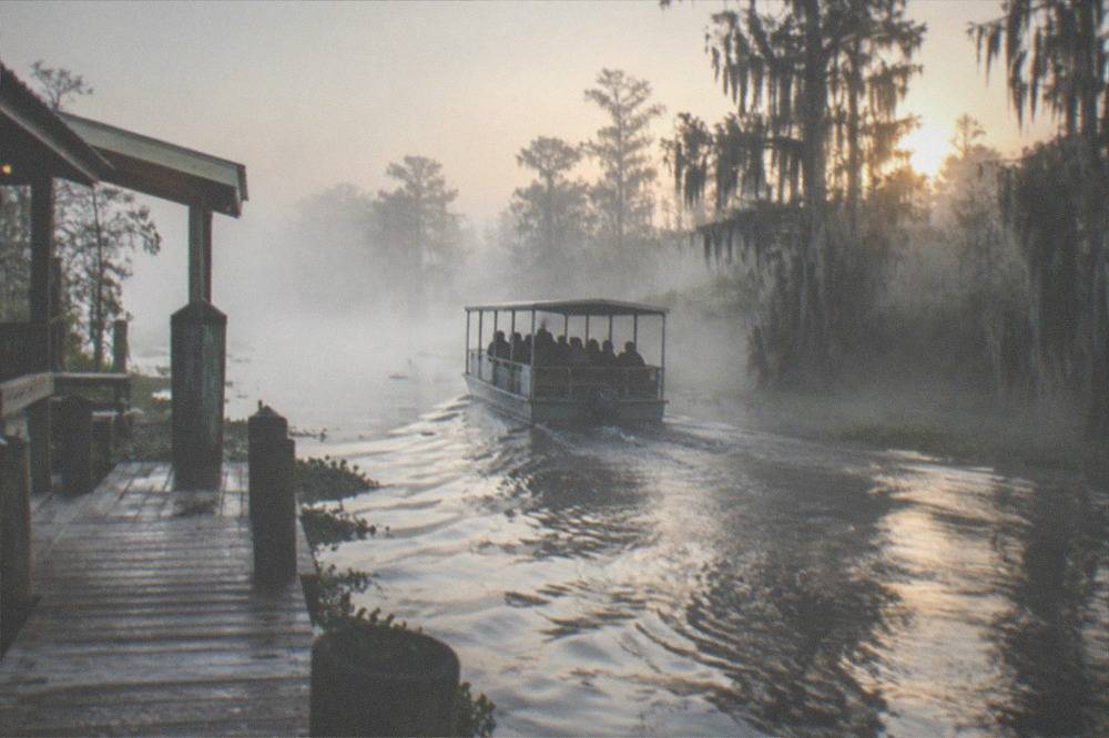 Morning mist rising off a quiet bayou as a swamp tour boat heads toward cypress trees