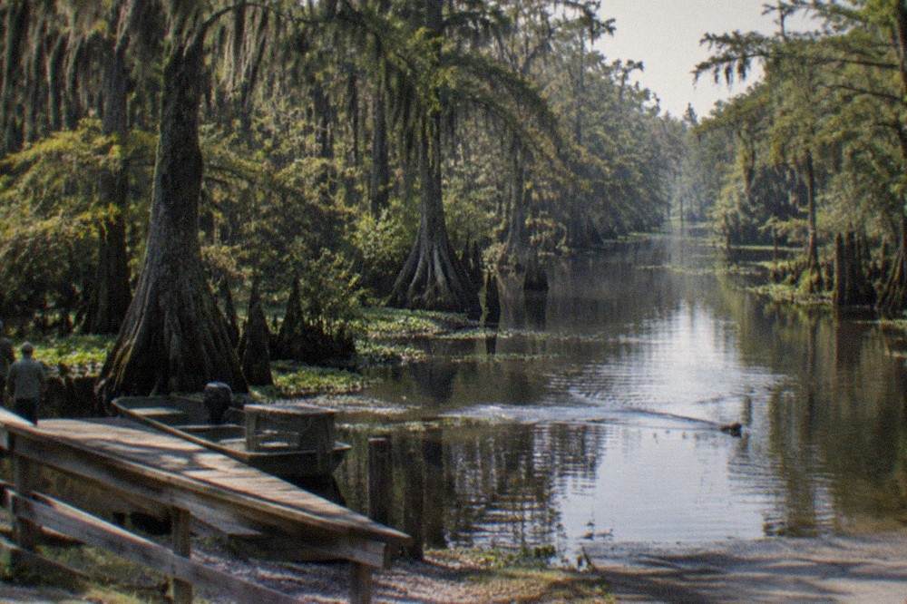 Wide view of a dark water bayou winding between moss covered cypress trees at Honey Island Swamp