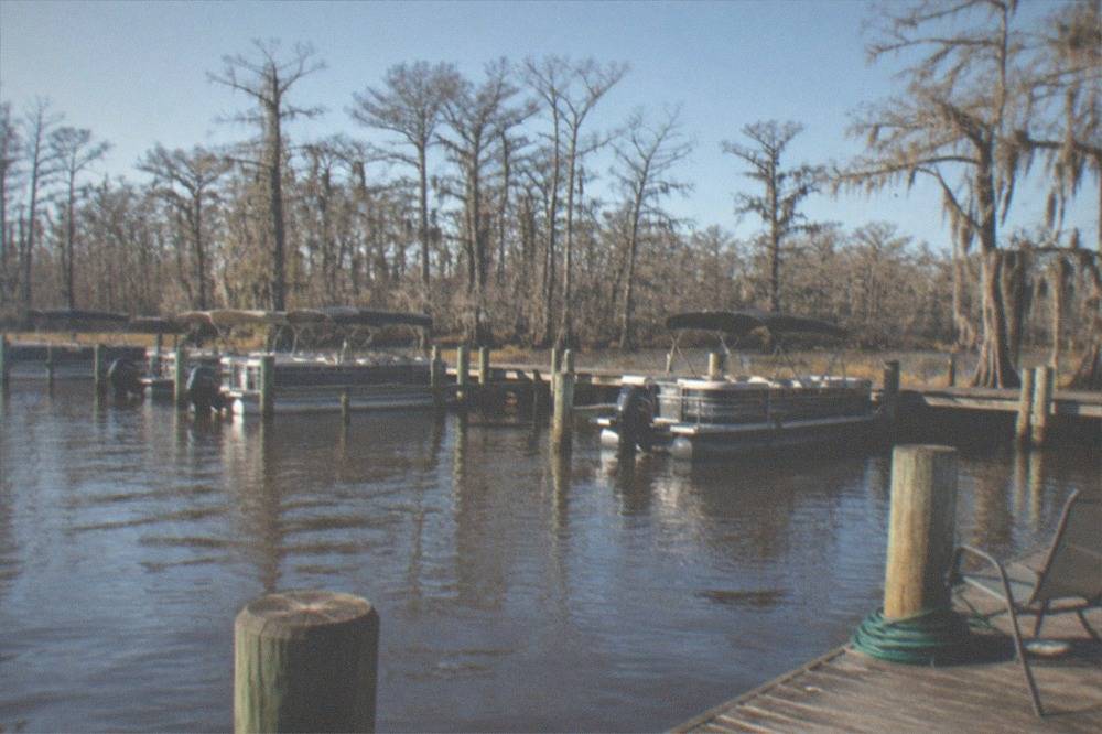 A boat dock on the edge of a swamp with pontoon boats moored along a wooden pier