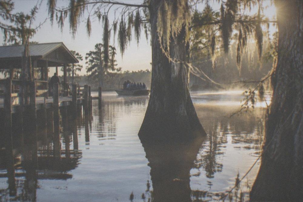 Morning light filtering through cypress trees over calm swamp water