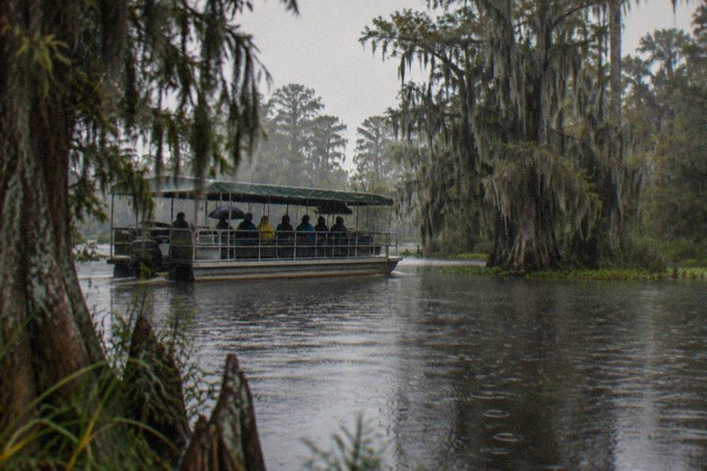 A shaded pontoon boat gliding through a cypress swamp with still dark water