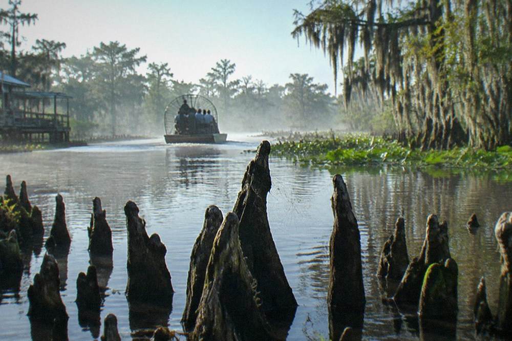 Wide view of a Louisiana swamp channel with cypress knees rising from dark water