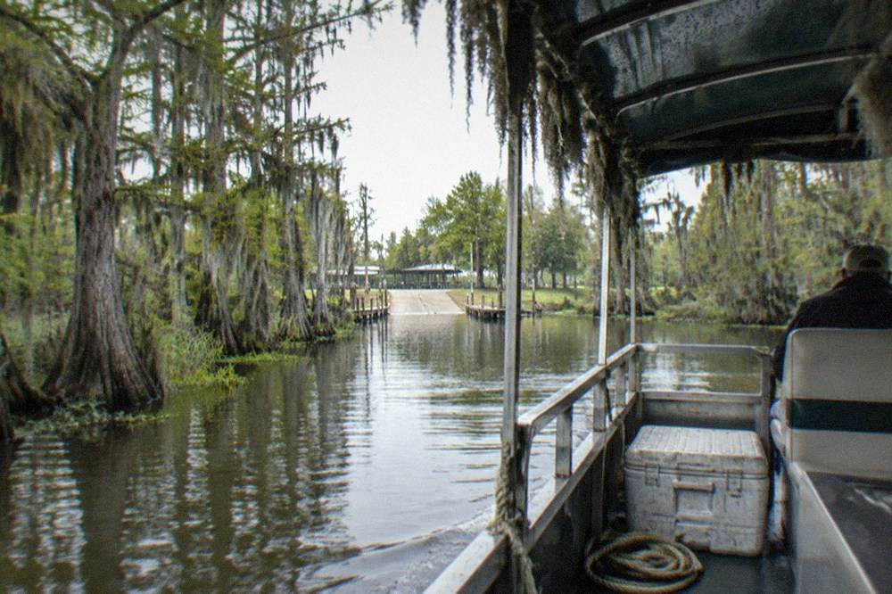Covered pontoon boat gliding through a cypress swamp channel