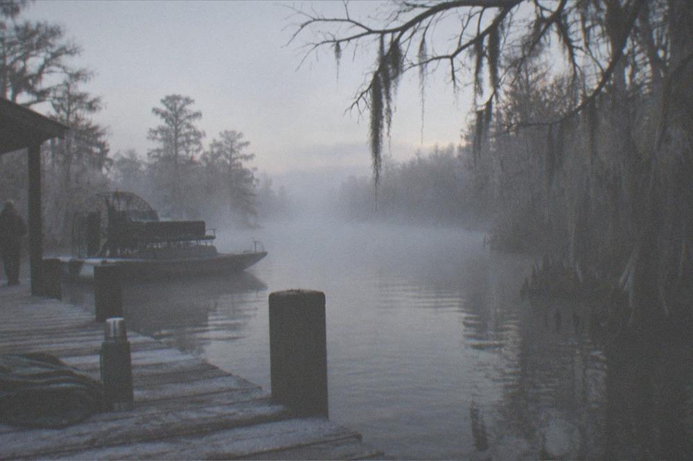 Misty morning over dark swamp water with bare cypress branches