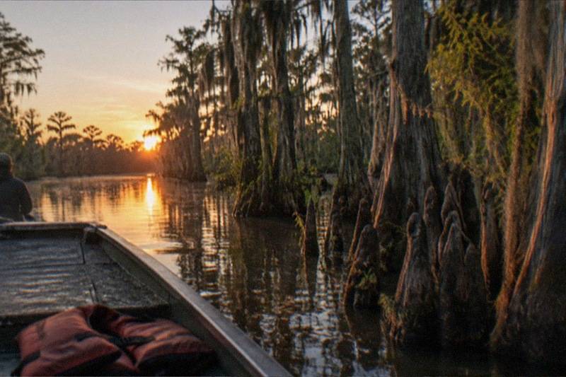 Swamp boat easing down a Honey Island channel past cypress knees at the waterline