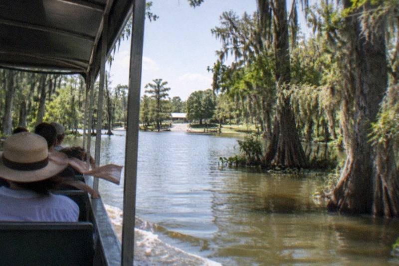 Covered swamp boat on a Manchac waterway, the swamp half of a full day that also visits Oak Alley