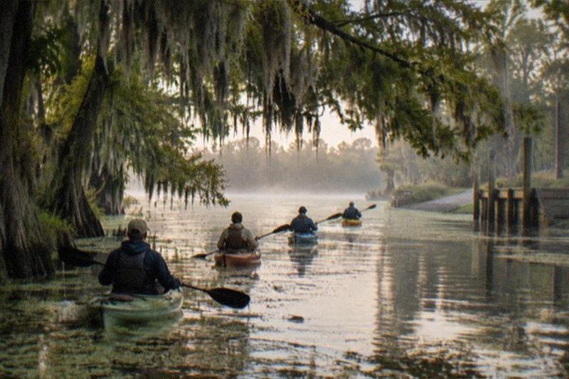 Line of kayaks paddling a calm Manchac swamp waterway under low cypress branches