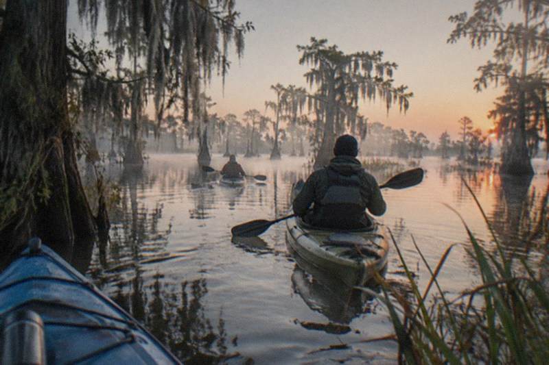 Guide leading kayakers through still Maurepas swamp water in early light