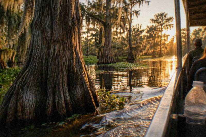 Swamp boat sliding past cypress trunks on the water half of a full-day Oak Alley pairing
