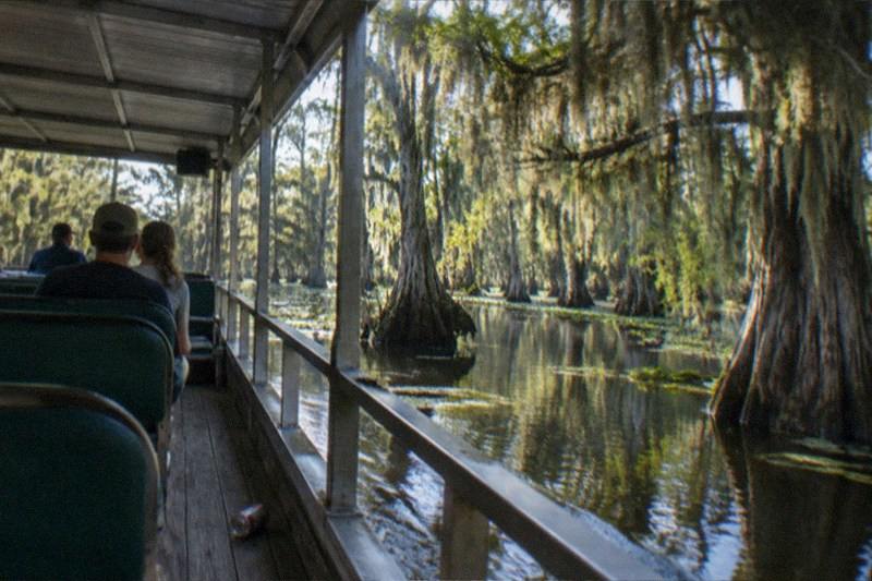 Covered pontoon gliding through cypress trees on a Louisiana bayou